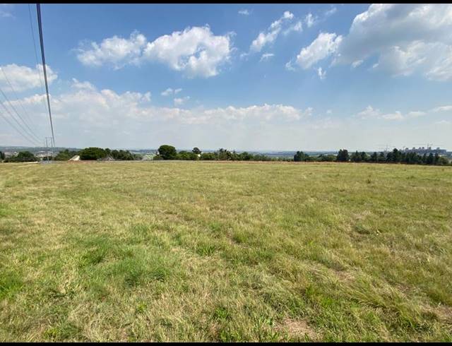 FARM FOR SALE IN TREESBANK